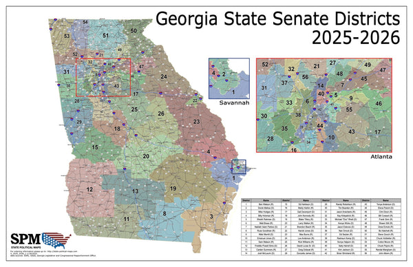 2025-2026 Georgia State Senate Wall Map