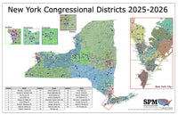 2025-2026 New York Congressional Wall Map