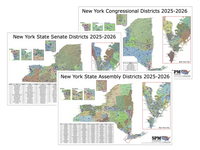 2025-2026 New York Legislative Map Bundle