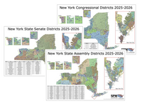 2025-2026 New York Legislative Map Bundle